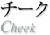 チークブラシ