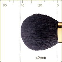 GL-2 / GS-2 : Powder/CHeek brush