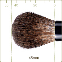 KZ-2:Cheek brush